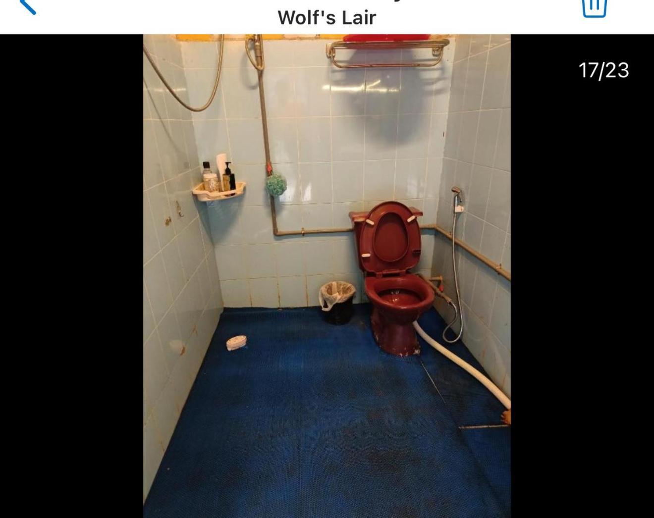 Wolf'S Lair Hotel Да Лат Екстериор снимка